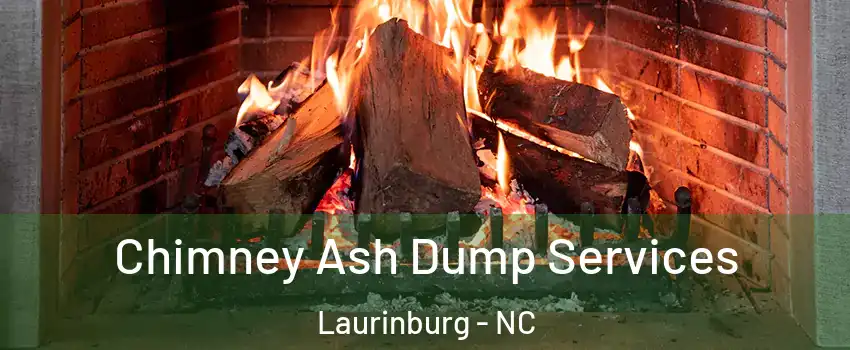  Chimney Ash Dump Services Laurinburg - NC