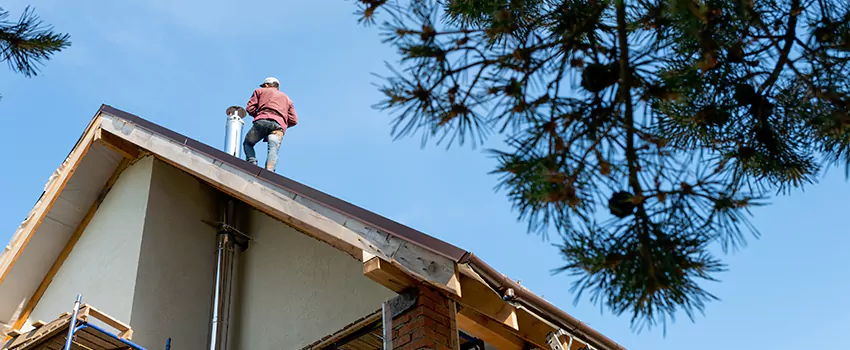 Birds Removal Contractors from Chimney in Laurinburg, NC